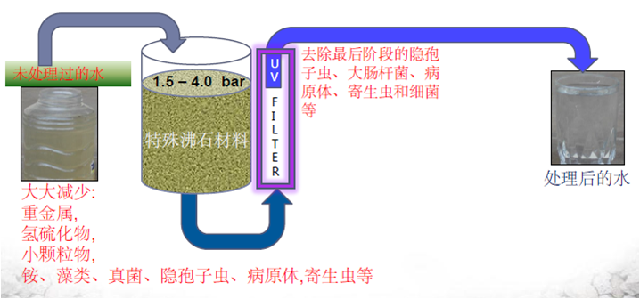 瑞典生态净水技术.png