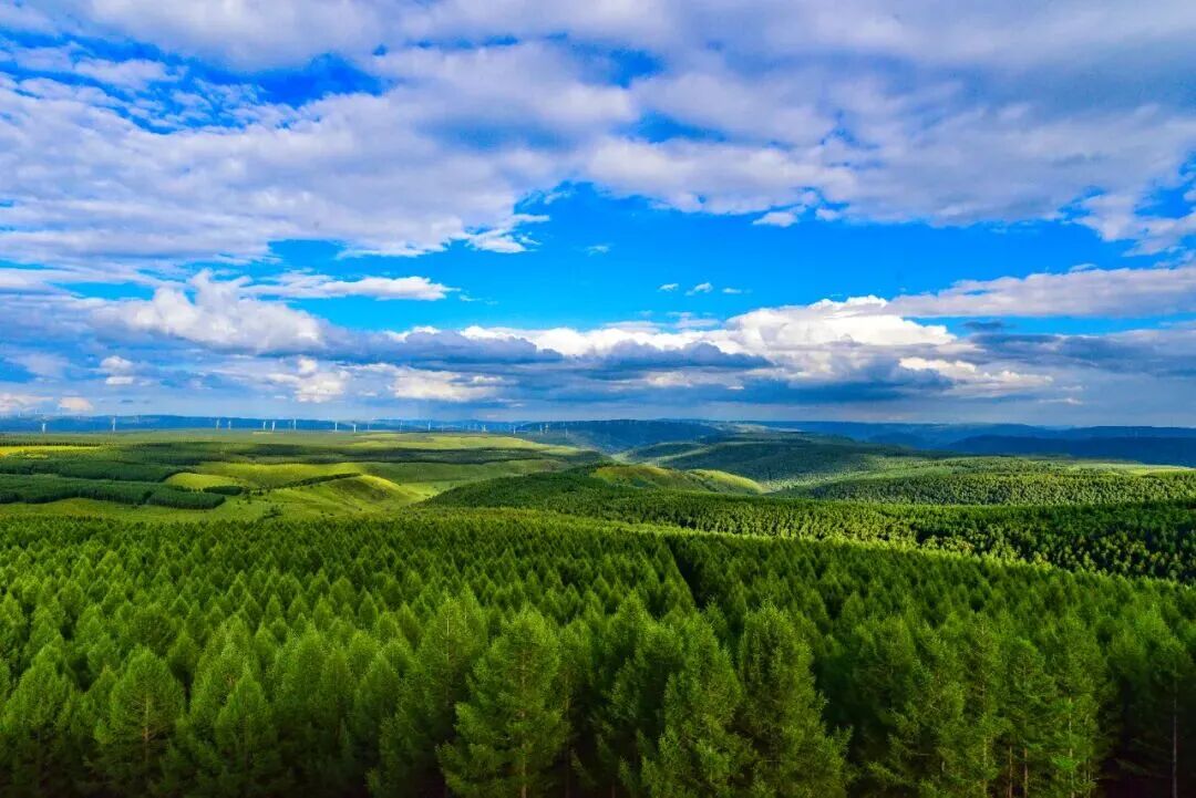 836f734d82be81cfaf5b003e88a4565c.jpg 836f734d82be81cfaf5b003e88a4565c.jpg